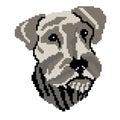 Dog breed Schnauzer silhouette face muzzle, painted squares, pixels. Silhouette Breed Schnauzer. Vector illustration