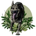 Dog breed shepherd runs with his tongue out Bouncing in the air composition decorated with branches and leaves of birch