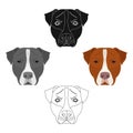 Dog breed, Stafford.Muzzle of Stafford single icon in cartoon,black style vector symbol stock illustration web.