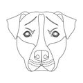 Dog breed, Stafford.Muzzle of Stafford single icon in outline style vector symbol stock illustration web.