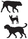 Dog breed vector silhouettes 9 Royalty Free Stock Photo