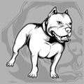 Dog breeds the American pit bull hand drawing vector