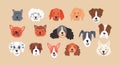 16 Dog Breeds Best Icons Set Royalty Free Stock Photo