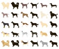 Dog breeds cartoon,black icons in set collection for design.Dog pet vector symbol stock web illustration.