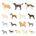 Dog breeds cartoon icons in set collection for design.Dog