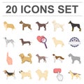 Dog breeds cartoon icons in set collection for design.Dog pet vector symbol stock web illustration.