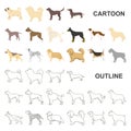 Dog breeds cartoon icons in set collection for design.Dog pet vector symbol stock web illustration.