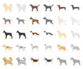 Dog breeds cartoon,monochrom icons in set collection for design.Dog pet vector symbol stock web illustration.