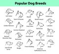 Dog Breeds Collection Royalty Free Stock Photo