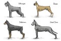 Dog breeds engraved, hand drawn vector illustration in woodcut scratchboard style