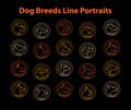 Dog Breeds