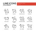 Dog breeds - line design icons set