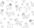 Dog breeds, poodle, pug and yorkshire terrier, seamless vector background in outline. Animal, pets, basset hound, welsh corgi and Royalty Free Stock Photo