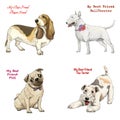 Dog breeds set basset hound, bull terrier, fox terrier, pug Royalty Free Stock Photo