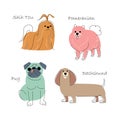 Dog breeds Set 2 . Flat shape and pencil line drawing design . Vector Royalty Free Stock Photo