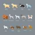 Dog Breeds Set, Large and Medium Size