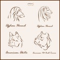 The dog breeds