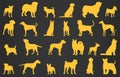 Dog breeds silhouettes. Dog icons collection. Chinese zodiac 2018. Vector