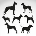 Dog-breeds-silhouettes-vector-design Royalty Free Stock Photo