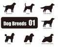 Dog breeds, standing on the ground, side view ,silhouette, black and white