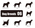 Dog breeds, standing on the ground, side view ,silhouette, black and white