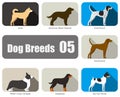 Dog breeds, standing on the ground, side view, vector illustration, dog cartoon image series