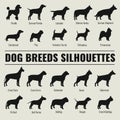 Dog breeds vector silhouettes set Royalty Free Stock Photo