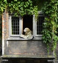 A dog in the Bruge