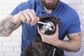 Dog brushing their teeth close-up. toothbrush with toothpaste Royalty Free Stock Photo