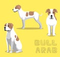 Dog Bull Arab Cartoon Vector Illustration