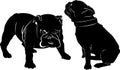 Dog Bulldog. The dog breed bulldog.Dog Bulldog black silhouette vector isolated on white background. Dog pug. Meeting two dogs of Royalty Free Stock Photo