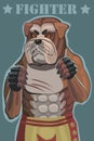 Dog bulldog fighter