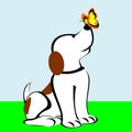 Dog With Butterfly On Nose