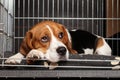 Dog in cage Royalty Free Stock Photo