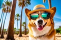 Dog with a camera on the beach. Created with generative Ai technology. Royalty Free Stock Photo