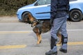 Dog Canine Unit of the police to identify the explosives during Royalty Free Stock Photo