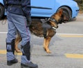 Dog Canine Unit of the police to identify the explosives Royalty Free Stock Photo