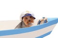 The dog in the captain`s cap sits in the boat. Royalty Free Stock Photo