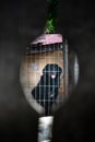 Dog in cage (Retriver) - Caine in cusca Royalty Free Stock Photo