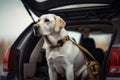 Dog Car Back Travel. Generate Ai