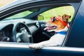 Dog car steering wheel Royalty Free Stock Photo