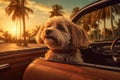 A dog in a car on a trip, animals on vacation, a dog against the background of palm trees and a summer sunset. generative ai