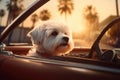 A dog in a car on a trip, animals on vacation, a dog against the background of palm trees and a summer sunset. generative ai
