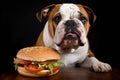 Dog care hamburger meat. Generate AI