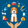 Dog care infographic