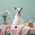 Dog care pet cute towel funny animal Royalty Free Stock Photo
