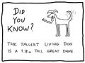 Dog cartoon