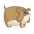 Cartoon angry and funny bulldog illustration