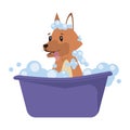 dog cartoon bathing