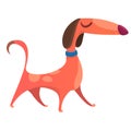 Cartoon funny dog walking. Flat design illustration